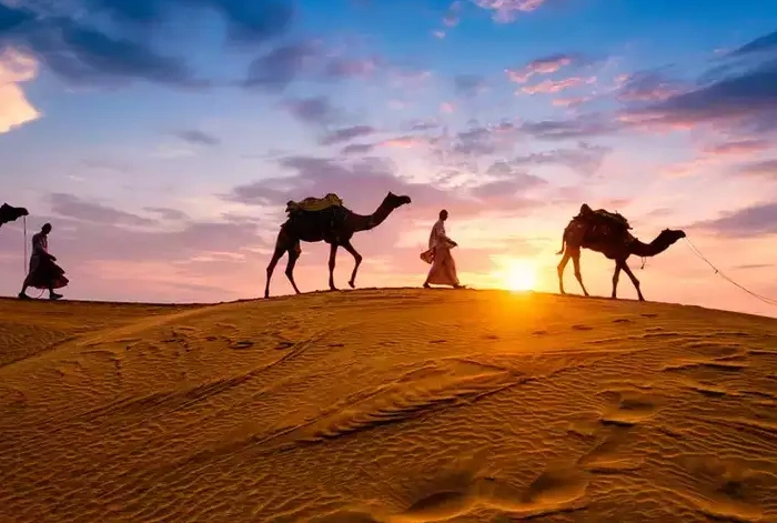 Rajasthan Tour