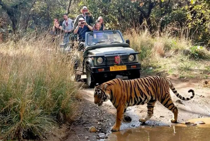 Manali Tour